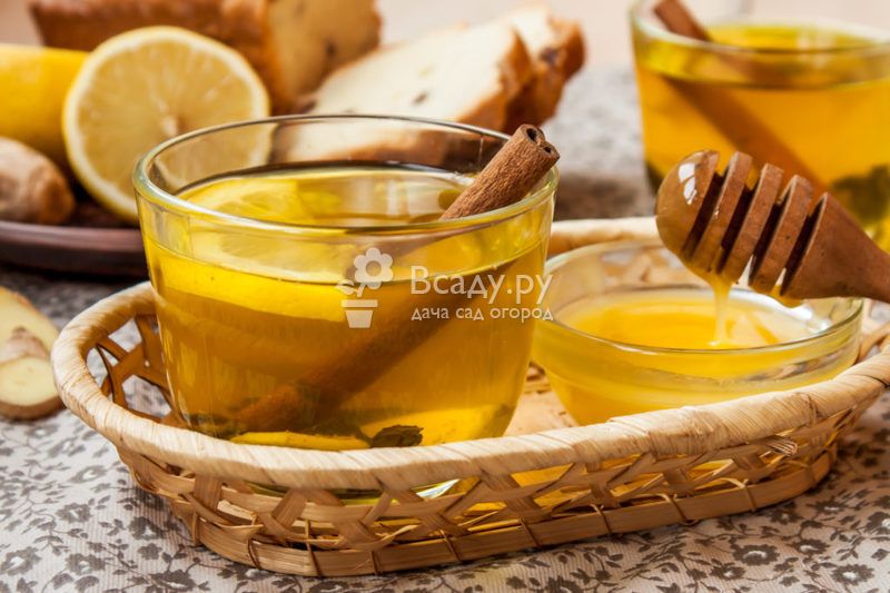 Ежедневно употребляя медовую воду с корицей и лимоном можно предотвратить инфаркт