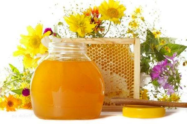 Мед разнотравье полезные свойства и противопоказания